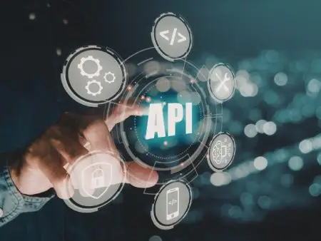 Basic Embedded Payments API